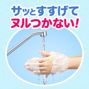 (低至7折) 日本製 Kao 花王 Biore 除菌消毒 泡沫洗手液 (水果香) (補充裝) 770ml 4回