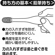 (Step 2 適合3-5歲) Skater 兒童學習透明牙刷 (軟毛) - 龍貓 (一套三支)  (日本直送)