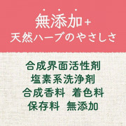 (低至7折) 日本製 Arau 洗衣機槽清潔粉 無添加 除菌除臭去污 300g 1回 Saraya 雅樂寶
