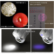 (低至75折) 迷你隨身帶顯微鏡 配備LED燈和UV燈功能 (日本直送)