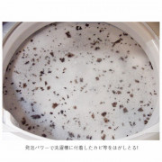 日本製 Uyeki 洗衣機槽清潔液 180g 1回 專用除菌消臭清潔劑