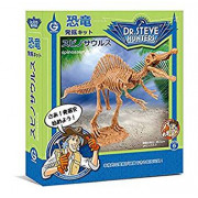 日本 恐龍化石發掘玩具套裝  spinosaurus